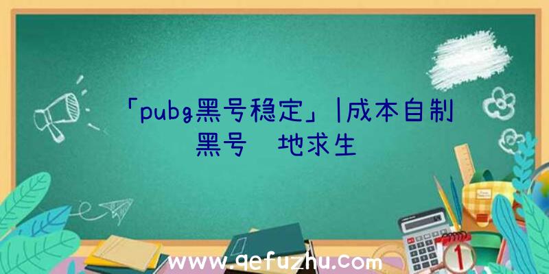 「pubg黑号稳定」|成本自制黑号绝地求生